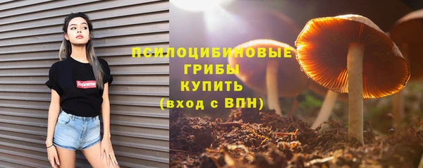 mix Белокуриха