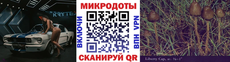 Галлюциногенные грибы GOLDEN TEACHER дарнет шоп Кстово